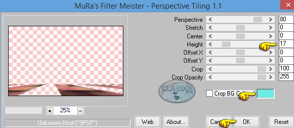 Instellingen filter MuRa's Meister - Perspective Shadow