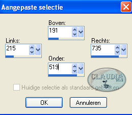 Instellingen Aangepaste selectie