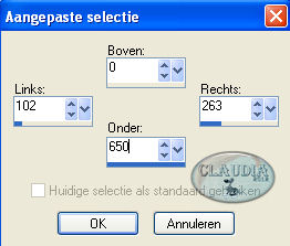 Instellingen Aangepaste selectie