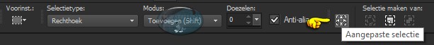 Selectiegereedschap (S) - Aangepaste selectie 