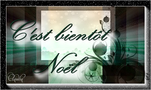 Titel Les : C'est bientôt Noël van Maxou