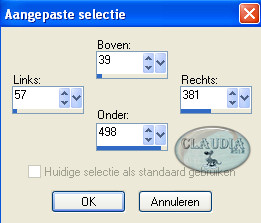 Instellingen Aangepaste selectie