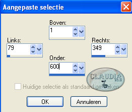 Instellingen Selectiegereedschap - Aangepaste selectie