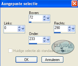 Instellingen Selectiegereedschap - Aangepaste selectie