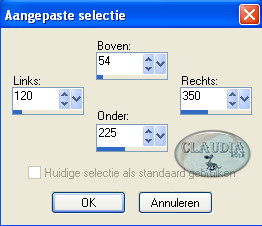 Instellingen Selectiegereedschap - Aangepaste selectie