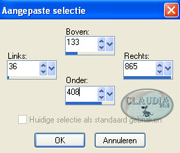 Instellingen Selectiegereedschap - Aangepaste selectie