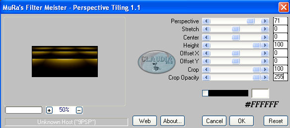 Instellingen filter MuRa's Meister - Perspective Tiling