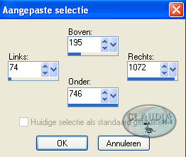 Instellingen Selectiegereedschap - Aangepaste selectie