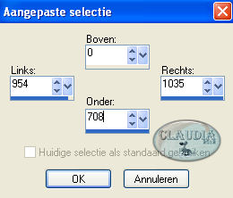 Instellingen Aangepaste selectie