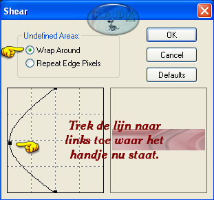 Instellingen filter Distort - Shear