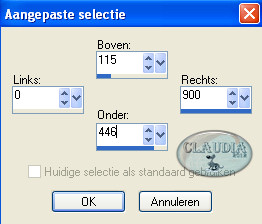 Instellingen Selectiegereedschap - Aangepaste selectie