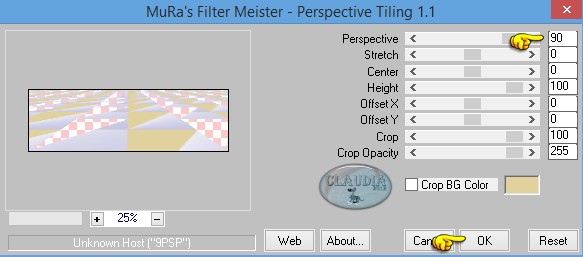 Instellingen filter MuRa's Meister - Perspective Tiling