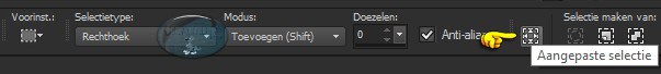Selectiegereedschap - Aangepaste selectie