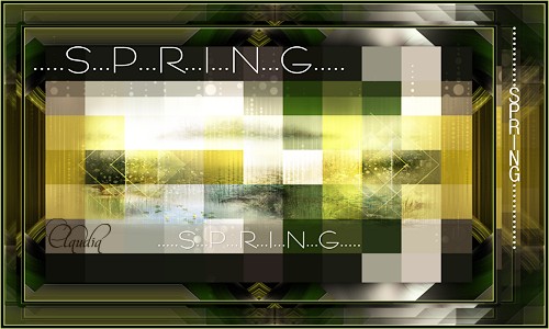 Titel Les : Spring van Maxou