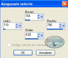 Instellingen Aangepaste selectie