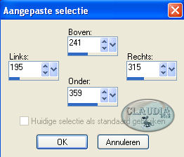 Instellingen Aangepaste selectie