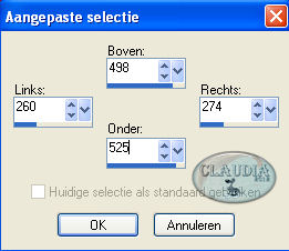 Instellingen Aangepaste selectie