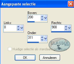 Instellingen Aangepaste selectie