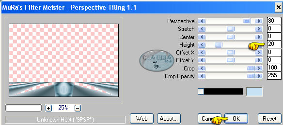 Instellingen filter MuRa's Meister - Perspective Tiling