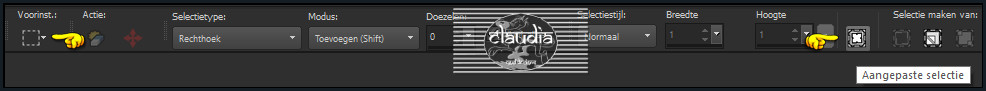 Activeer het Selectiegereedschap (toets S op het toetsenbord) - Aangepaste selectie 