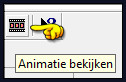 Kijk hoe de animatie loopt door op het icoontje "Animatie bekijken" te klikken