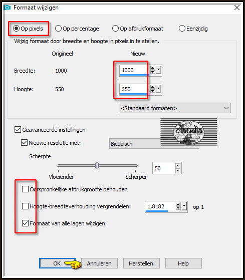 Afbeelding - Formaat wijzigen : 