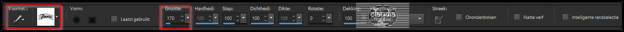 Activeer het Penseelgereedschap en zoek de brushe "Narah_Text_Paris" met deze instellingen