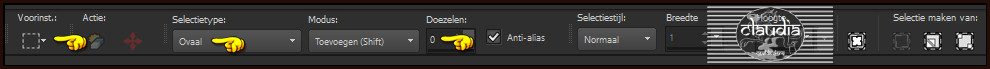 Activeer het Selectiegereedschap (toets S op het toetsenbord) - Ovaal 