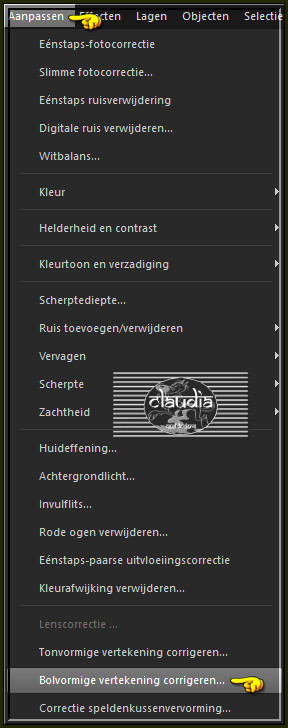 Aanpassen - Volvormige vertekening corrigeren