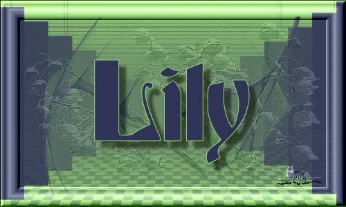 Titel Les : Lily van Nikita