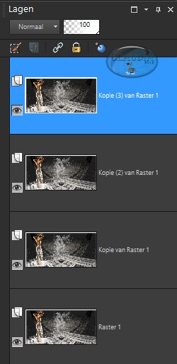 Dupliceer nu deze laag 3 x zodat je 4 dezelfde lagen hebt