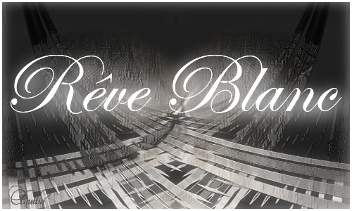 Titel Les : Rêve blanc van Nikita