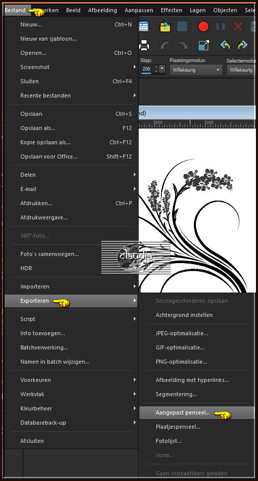 Bestand - Exporteren - Aangepast penseel