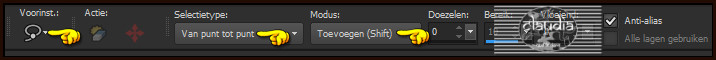 Activeer het "Selectiegereeschap" - Uit vrije hand (= lasso) - Van punt tot punt