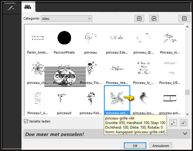 Activeer het "Penseelgereedschap" en zoek de zonet opgeslagen Brushe met deze instellingen :