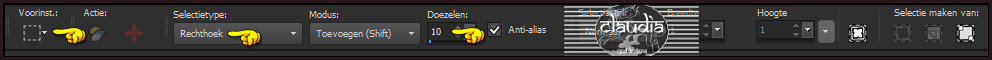 Activeer het "Selectiegereedschap" - Rechthoek met deze instellingen :
