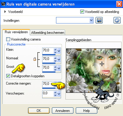 Aanpassen - Ruis van digitale camera verwijderen