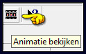 Animatie bekijken