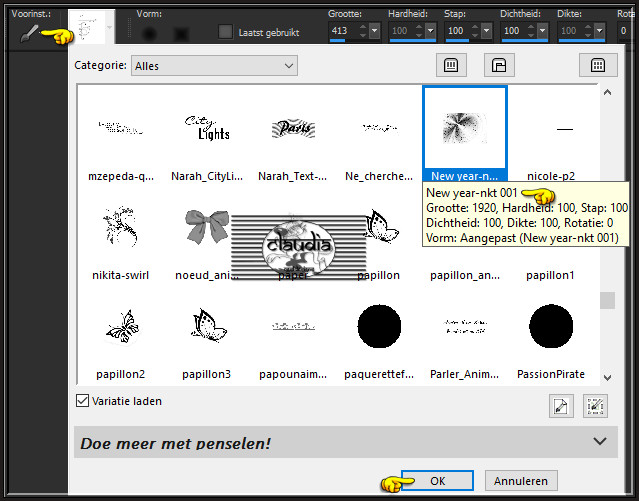 Activeer het Penseelgereedschap en zoek de zonet opgeslagen Brushe "New year-nkt 001" met deze instellingen :