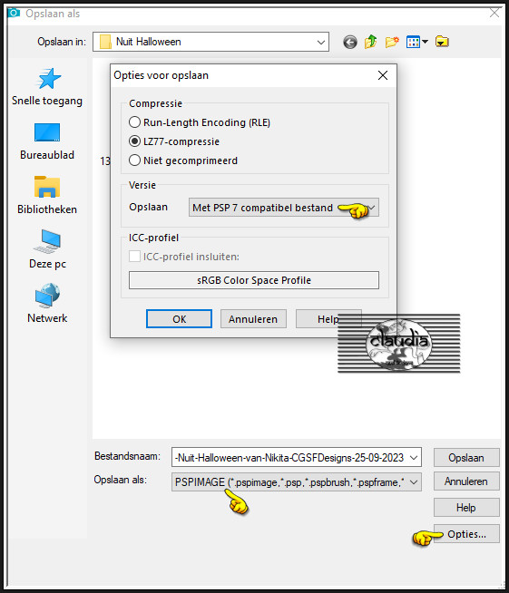 Sla je werkje nu op als psp-image bestand dat compatibel is met PSP7