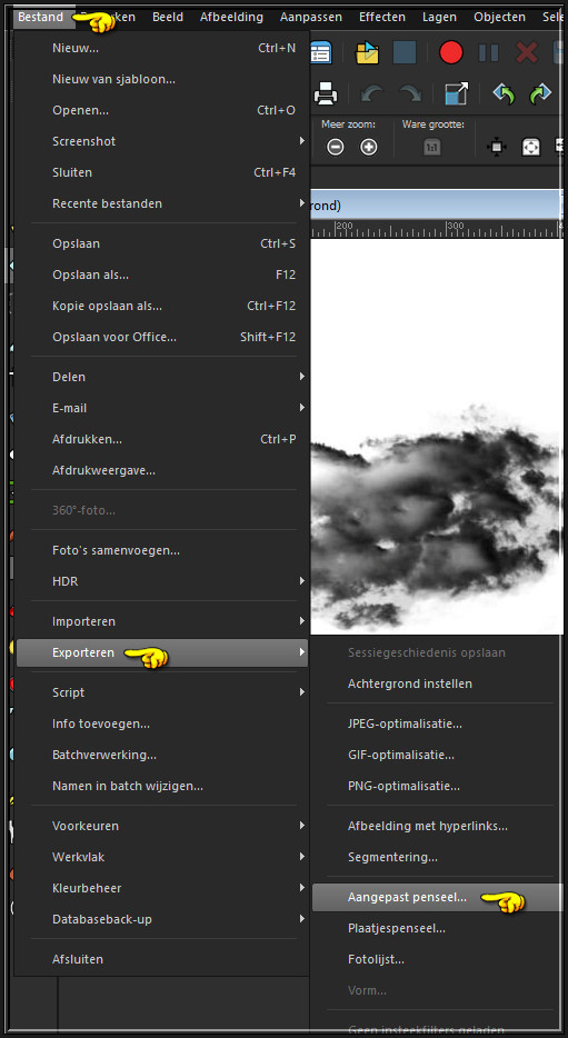 Bestand - Exporteren - Aangepast penseel :
