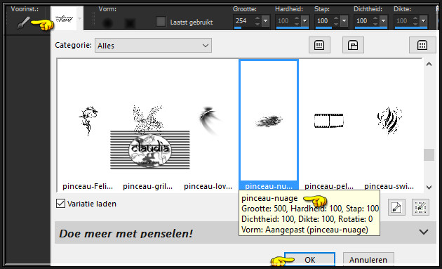 Activeer het Penseelgereedschap en zoek de zonet opgeslagen Brushe "pinceau-nuage" met deze instellingen :