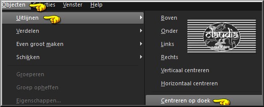 Objecten - Uitlijnen - Centreren op doek