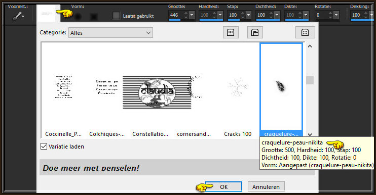 Activeer het Penseelgereedschap en zoek de zonet opgeslagen Brushe "craquelure-peau-nikita" met deze instellingen :