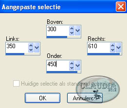 Instellingen aangepaste selectie