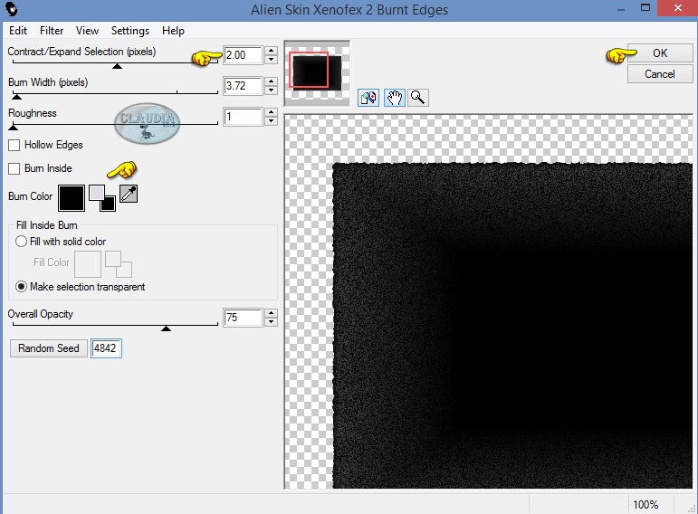 Instellingen filter : Xenofex 2 - Burnt Edges