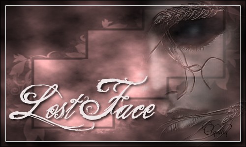Titel Les : Lost Face van Sille