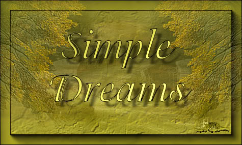 Titel Les : Simple Dreams van Sille