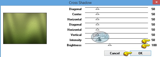 Instellingen filter Graphics Plus - Cross Shadow