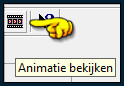 Kijk even hoe de animatie loopt door op dit icoontje te klikken